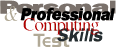 P Professional Computing Skills Test